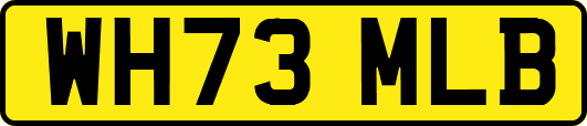 WH73MLB