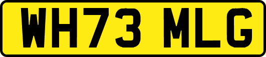 WH73MLG