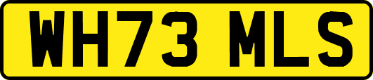 WH73MLS