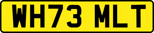 WH73MLT