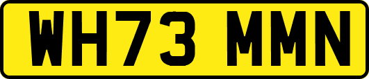 WH73MMN