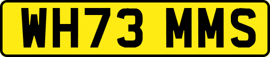 WH73MMS