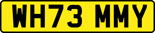 WH73MMY