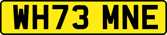 WH73MNE