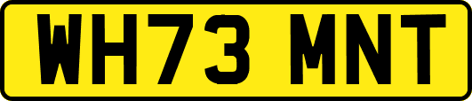 WH73MNT