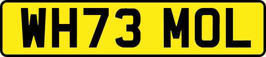 WH73MOL