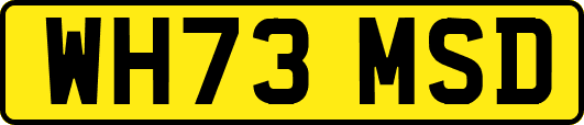 WH73MSD