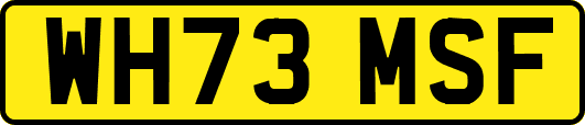 WH73MSF