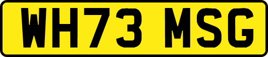 WH73MSG