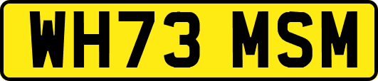 WH73MSM