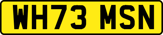 WH73MSN