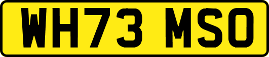 WH73MSO
