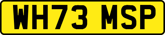 WH73MSP