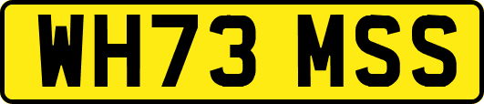 WH73MSS