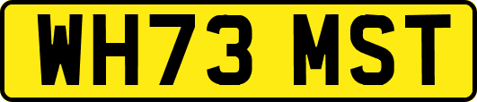 WH73MST