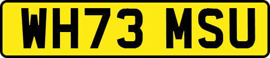 WH73MSU