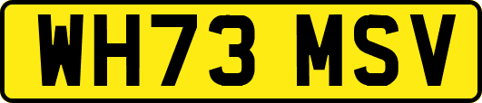 WH73MSV