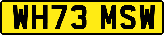 WH73MSW