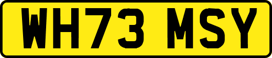 WH73MSY