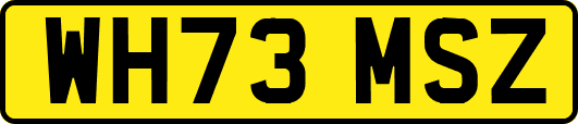 WH73MSZ