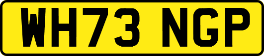 WH73NGP