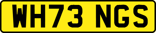 WH73NGS