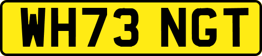 WH73NGT