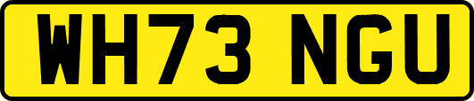 WH73NGU