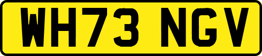 WH73NGV