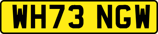 WH73NGW