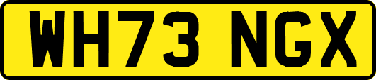 WH73NGX