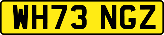 WH73NGZ
