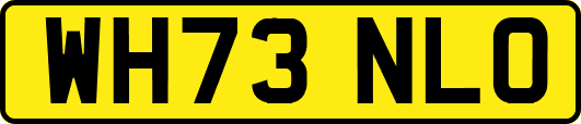 WH73NLO