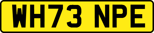 WH73NPE