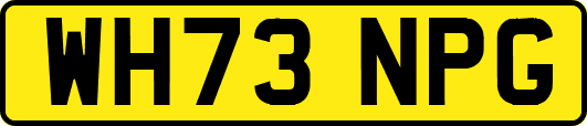 WH73NPG