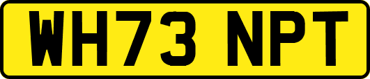 WH73NPT