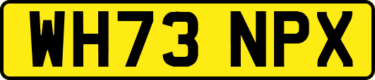 WH73NPX