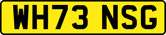 WH73NSG