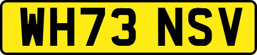 WH73NSV