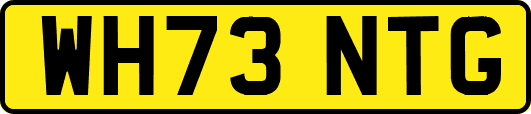 WH73NTG