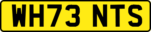 WH73NTS