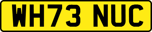 WH73NUC