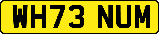 WH73NUM
