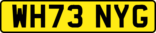 WH73NYG