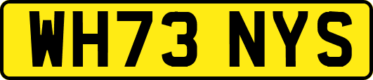 WH73NYS