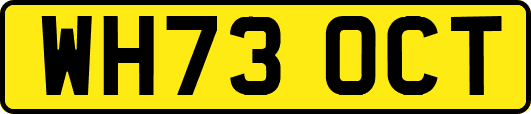 WH73OCT