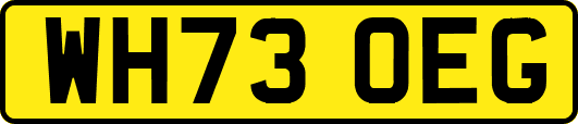 WH73OEG
