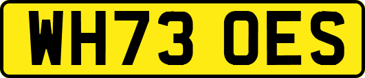 WH73OES