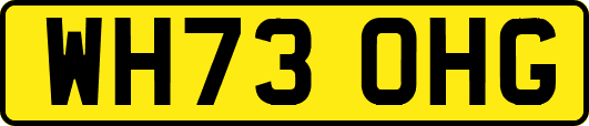 WH73OHG