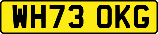 WH73OKG